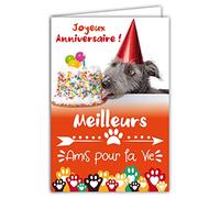 Afie 67-1229 Carte Joyeux Anniversaire Meilleurs Amis pour la Vie Gâteau Bougie Chiens Pattes Animaux Cœurs Fête Avec Enveloppe Blanche format 12x17,5cm