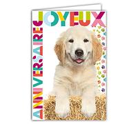 Afie 67-1230 Carte Joyeux Anniversaire Chien Chiot Labrador Retriever Pattes Animaux Avec Enveloppe Blanche format 12x17,5cm