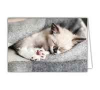 Afie 68-4003 Carte intérieur blanc avec Enveloppe - Chat Chaton Câlin Dormir Gris Couleurs Douces Esprit Cocooning Détente Relax à la maison Farniente Sieste Calme Repose-toi On pense à toi Pour toi