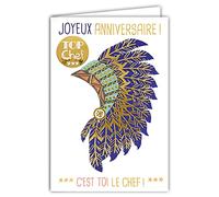 Afie 69-5044 Carte Joyeux Anniversaire Top Chef Indien Plumes