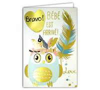 AFIE 69-5059 Carte Félicitations Naissance Bébé est arrivé Bravo Chouette Hiboux Cœur