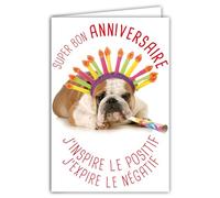 AFIE 69-6202 Carte Bon Anniversaire Humoristique avec Enveloppe Illustrée format 17,5x12cm Chien Drôle Amusant Rigolo Déguisé avec des accessoires pour faire la Fête - Création Fabrication française