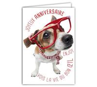 AFIE 69-6203 Carte Joyeux Anniversaire Humoristique avec Enveloppe Illustrée format 17,5x12cm Chien Drôle Amusant Rigolo Déguisé avec des Lunettes pour faire la Fête - Création Fabrication française