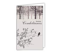 Afie Carte Sincères Condoléances petit format Gris Décès Deuil Paysage Paisible Soleil Couchant Vol Oiseaux Colombes mains Paix Eau Lac Herbe Graminée Fabriqué en France