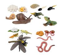 Aflytep Cycle de Vie de Grenouille Escargot Ver de Terre Libellule, Oeuf TêTard à Grenouille Safariologie Amphibien Figurines Jouet Kit, Projet Scolaire