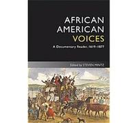 African American Voices, Uncovering the Past: Documentary Readers in American History Steven Mintz (Auteur)