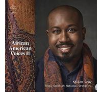 African American Voices, Vol. 2