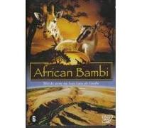 AFRICAN BAMBI-BILINGUE G