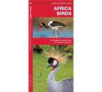 African Birds A Folding Pocket Guide to Familiar Species by Illustrated by Dr Raymond Leung James Kavanagh