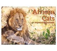 African Cats in impressive portraits (Wall Calendar 2026 DIN A3 landscape), CALVENDO 12 Month Wall Calendar: Impressive high-resolution portraits of Africa's fascinating big cats