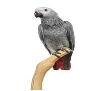 African Grey parrotJigsaw Puzzle 1500 Pieces Paper Puzzle Adult Children Educational Toys Family Stress Relief Game,57x87cm