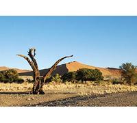 African Namibian Desert Landscape Diy 5D Diamond Painting By Number Unique Kits Home Wall Decor Crystal Rhinestone Wall Decor 30x40cm