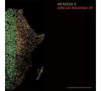 African Paradigm Ep1