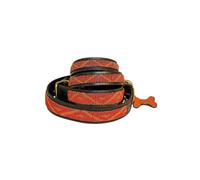 African Rainbow Craft Collier pour Chien, Collier pour Chien Fait Main en Cuir véritable, doublé Doux et Durable, Design Luxueux et Ajustable - Kabaka Neon (Small / 20-30cm)