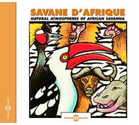 African Savanna - Natural Atmosphere in the Bush O