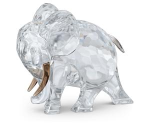 African Sunset Éléphant Hami OS