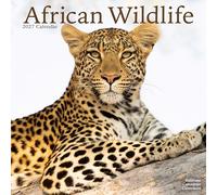 African Wildlife 2027 Calendar | Square Wall Calendar | Animal Gift | Plastic Free Packaging | by Avonside Publishing