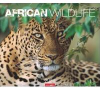 African Wildlife Kalender 2024