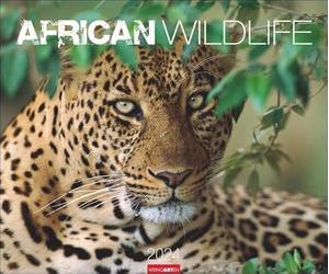 African Wildlife Kalender 2024