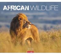 African Wildlife Kalender 2026: Die Tierwelt Afrikas in atemberaubenden Fotos festgehalten für einen großen Wandkalender. Foto-Kalender im Großformat 55 x 46 cm
