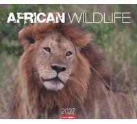 African Wildlife Kalender 2027: Die Tierwelt Afrikas in atemberaubenden Fotos festgehalten für einen großen Wandkalender. Foto-Kalender im Großformat 55 x 46 cm