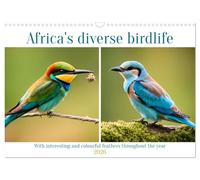 Africa's diverse birdlife (Wall Calendar 2026 DIN A3 landscape), CALVENDO 12 Month Wall Calendar: With interesting and colourful feathers throughout the year