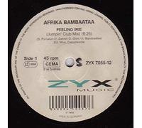 Afrika Bambaataa - Feeling Irie [Vinyl Maxi-Single]