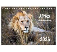 Afrika - Faszination Tierwelt (Tischkalender 2026 DIN A5 quer), CALVENDO Monatskalender: Afrika - Faszination Tierwelt