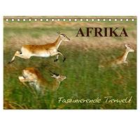 Afrika - Faszinierende Tierwelt (Tischkalender 2026 DIN A5 quer), CALVENDO Monatskalender: Afrikanische Tiere in der Wildnis Afrikas, ein Kalender, der zum Träumen verführt.