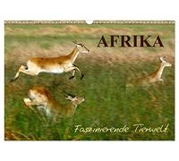 Afrika - Faszinierende Tierwelt (Wandkalender 2026 DIN A3 quer), CALVENDO Monatskalender: Afrikanische Tiere in der Wildnis Afrikas, ein Kalender, der zum Träumen verführt.