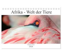 Afrika - Welt der Tiere (Tischkalender 2026 DIN A5 quer), CALVENDO Monatskalender: Erleben sie eine Bilderreise durch Afrikas beeindruckende Tierwelt.