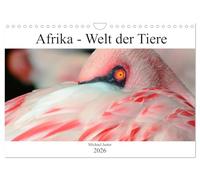 Afrika - Welt der Tiere (Wandkalender 2026 DIN A4 quer), CALVENDO Monatskalender: Erleben sie eine Bilderreise durch Afrikas beeindruckende Tierwelt.