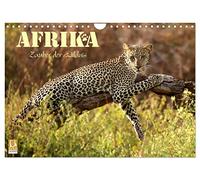 Afrika - Zauber der Wildnis (Wandkalender 2026 DIN A4 quer), CALVENDO Monatskalender: Safari-Abenteuer in Kenia und Tansania