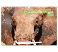Afrikahighlights - Safarifeeling (Wandkalender 2026 DIN A3 quer), CALVENDO Monatskalender: Besondere Momente in Afrikas faszinierender Tierwelt