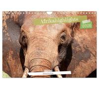 Afrikahighlights - Safarifeeling (Wandkalender 2026 DIN A4 quer), CALVENDO Monatskalender: Besondere Momente in Afrikas faszinierender Tierwelt
