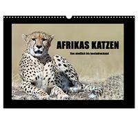 Afrikas Katzen (Wandkalender 2026 DIN A3 quer), CALVENDO Monatskalender: Aufnahmen von Löwen, Geparden, Leoparden und Wildkatzen
