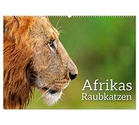 Afrikas Raubkatzen in eindrucksvollen Portraits (Wandkalender 2026 DIN A2 quer), CALVENDO Monatskalender: Eindrucksvolle hochauflösende Portraits von Afrikas faszienierenden Raubkatzen