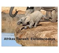 Afrikas Tierwelt: Elefantenbabys (Wandkalender 2026 DIN A2 quer), CALVENDO Monatskalender: Besondere Momente der kleinen grauen "Riesen"