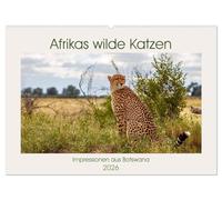 Afrikas wilde Katzen (Wandkalender 2026 DIN A2 quer), CALVENDO Monatskalender: Afrikanische Raubkatzen in freier Wildbahn