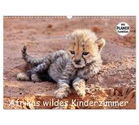 Afrikas wildes Kinderzimmer (Wandkalender 2026 DIN A3 quer), CALVENDO Monatskalender: Begegnungen mit dem wilden Nachwuchs