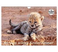 Afrikas wildes Kinderzimmer (Wandkalender 2026 DIN A4 quer), CALVENDO Monatskalender: Begegnungen mit dem wilden Nachwuchs