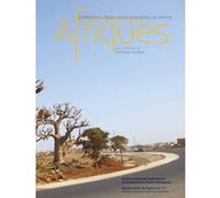 Afrique-architectures, infrastructures et territoires en devenir Dominique Rouillard (Auteur)