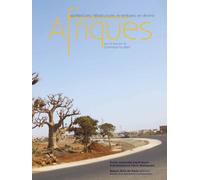Afrique-architectures, infrastructures et territoires en devenir - Dominique Rouillard - Ecole Nat.sup.des Beaux-Arts - broché - Beau livre