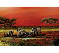 Afrique - éléphants - animal - impression poster - taille 91,5x61 cm