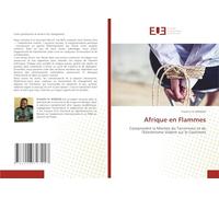Afrique en Flammes: Comprendre la Montée du Terrorisme et de l'Extrémisme Violent sur le Continent