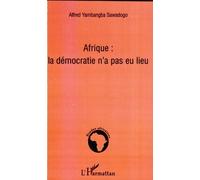 Afrique la démocratie n'a pas eu lieu