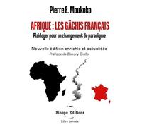 Afrique : Les Gâchis Français - Plaidoyer Pour Un Changement De Paradigme