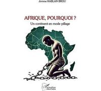 Afrique, Pourquoi ? - Un Continent En Mode Pillage