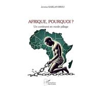 Afrique, Pourquoi ? - Un Continent En Mode Pillage
