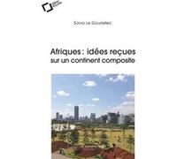 Afriques, idées reçues sur un continent composite Sonia Le Gouriellec (Auteur)